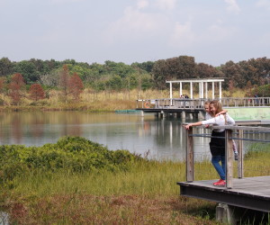 Playtimes HK - Hong Kong wetlands