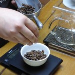 Coffee beans being selected for a brew P1010628