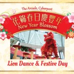 Cyberport Lion Dance