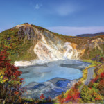 shutterstock_132066653