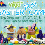 SSV0320_300x250_banner