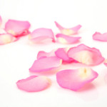 shutterstock_120583399