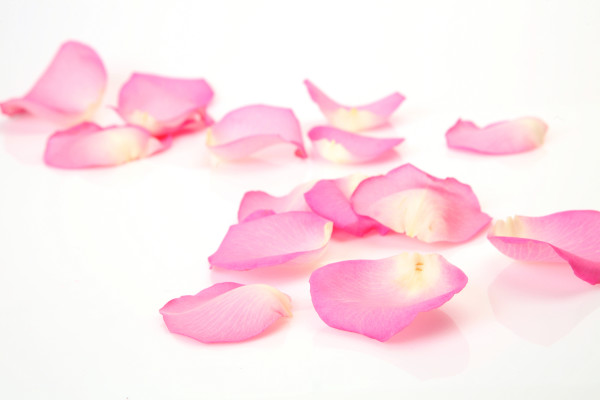 shutterstock_120583399