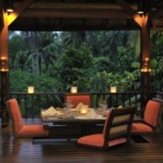 ALIVE! Terrace