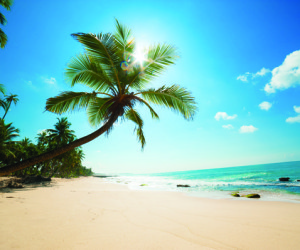 Playtimes HK - Sri Lanka holidays with kids