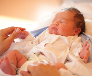 shutterstock_33120106a