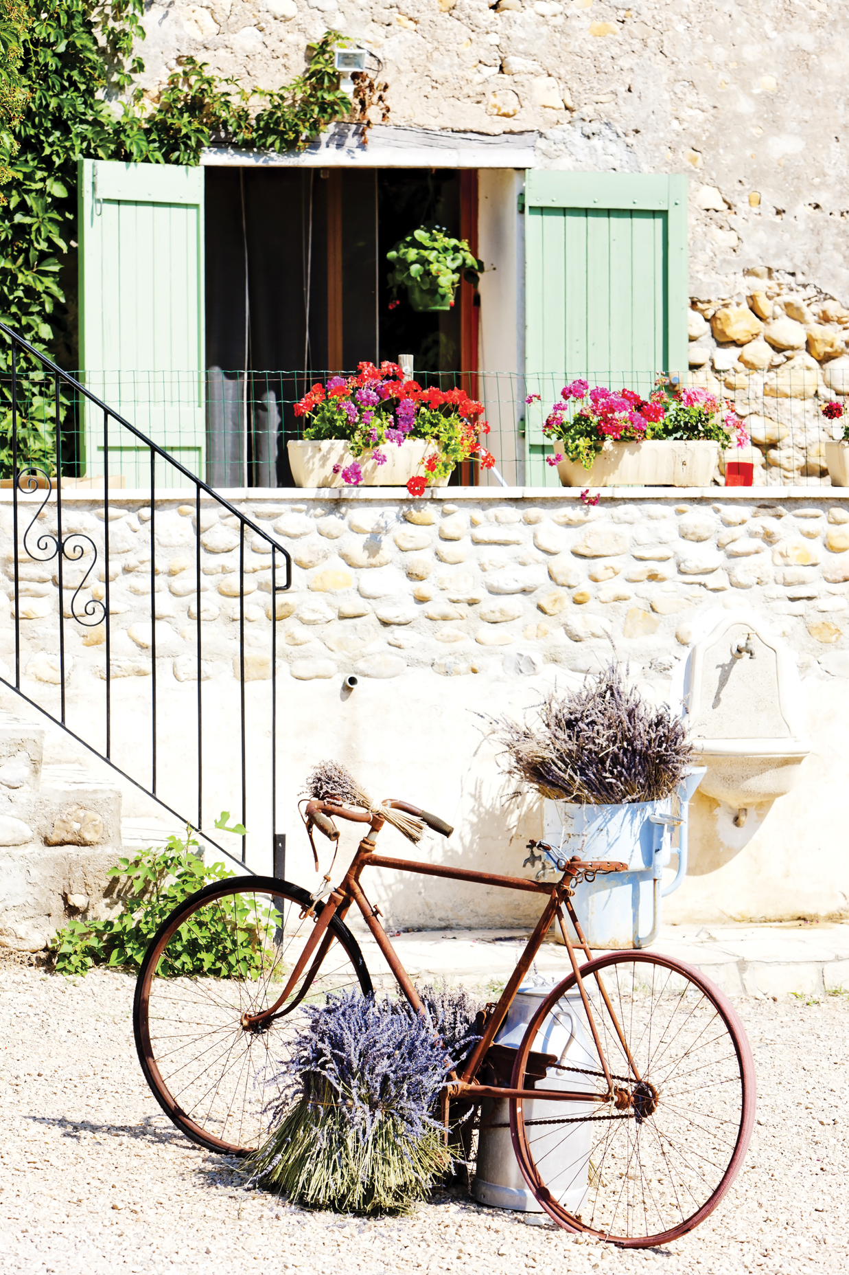 shutterstock_93726115