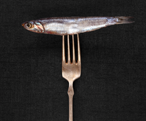 Playtimes HK - fork and fish