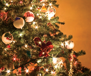 Playtimes HK - Xmas Tree