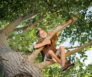 Playtimes HK - trees