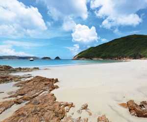 shutterstock_79411303-optimised-for-web