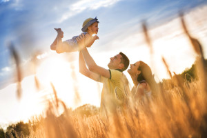 small shutterstock_230803654