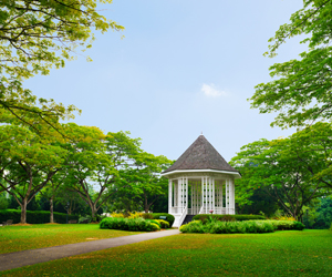 shutterstock_324094622