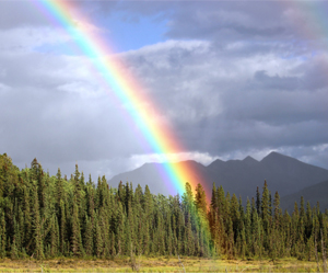 feature-rainbow