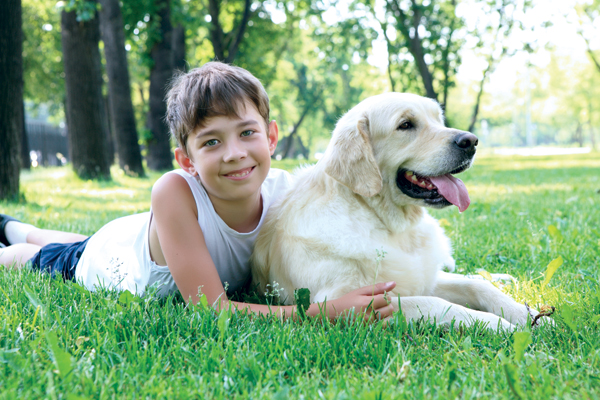 shutterstock_81635626
