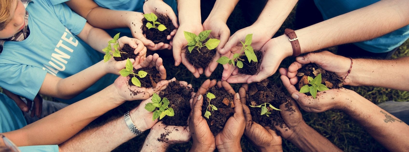 Kids holding plants in their hands - volunteer opportunities for children