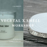 Elements Workshop Poster_vegetal_playtimes