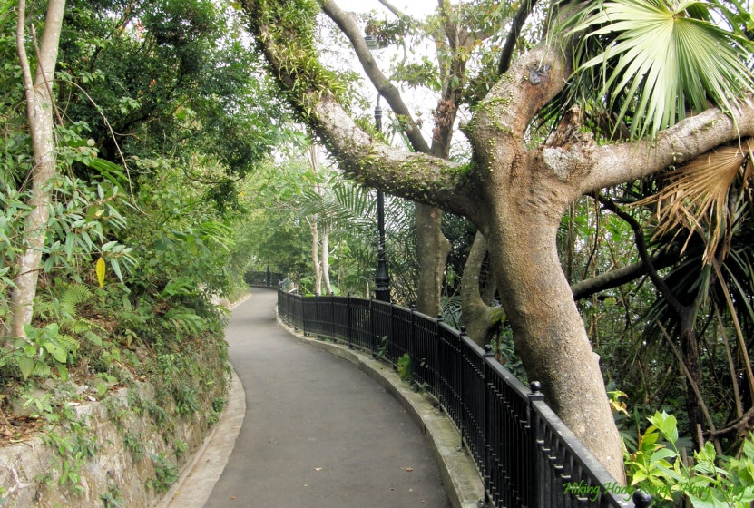 the peak loop