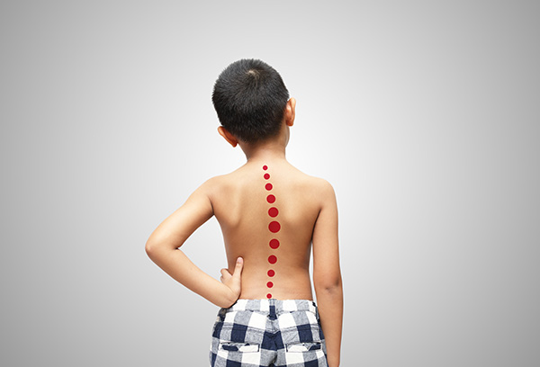 Spine