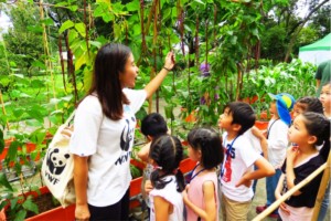 WWF HK's Smart Foodies programme, the best outdoor camps in Hong Kong