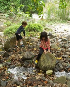 Hong Kong Forest Adventures – Forest Camp, the best outdoor camps in Hong Kong