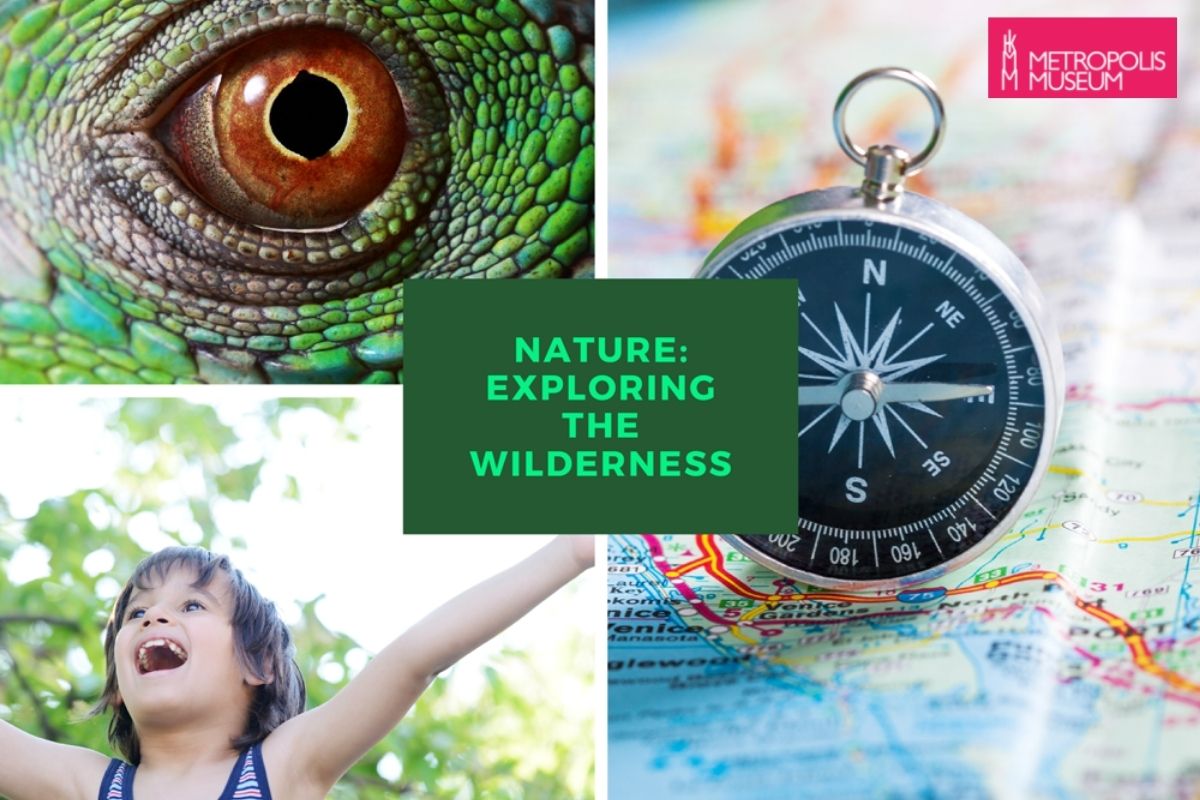 Metropolis Museum Nature Walks