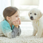 Can-I-have-a-dog