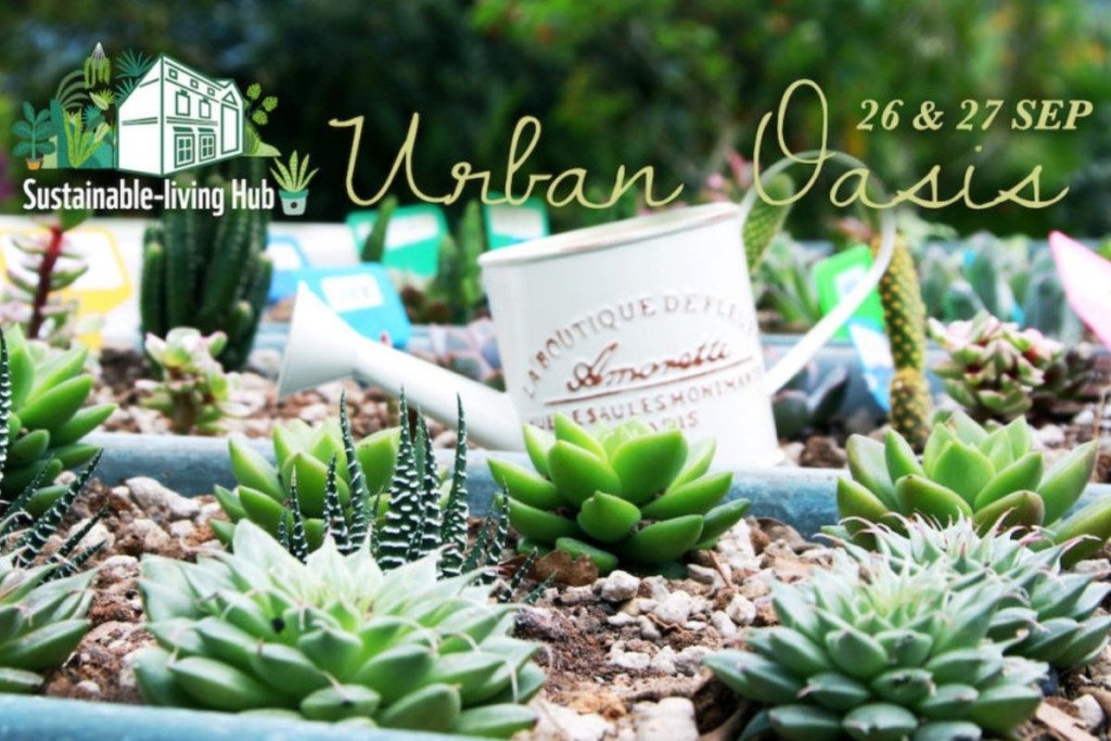 Build your own Mini Urban Oasis with WWF