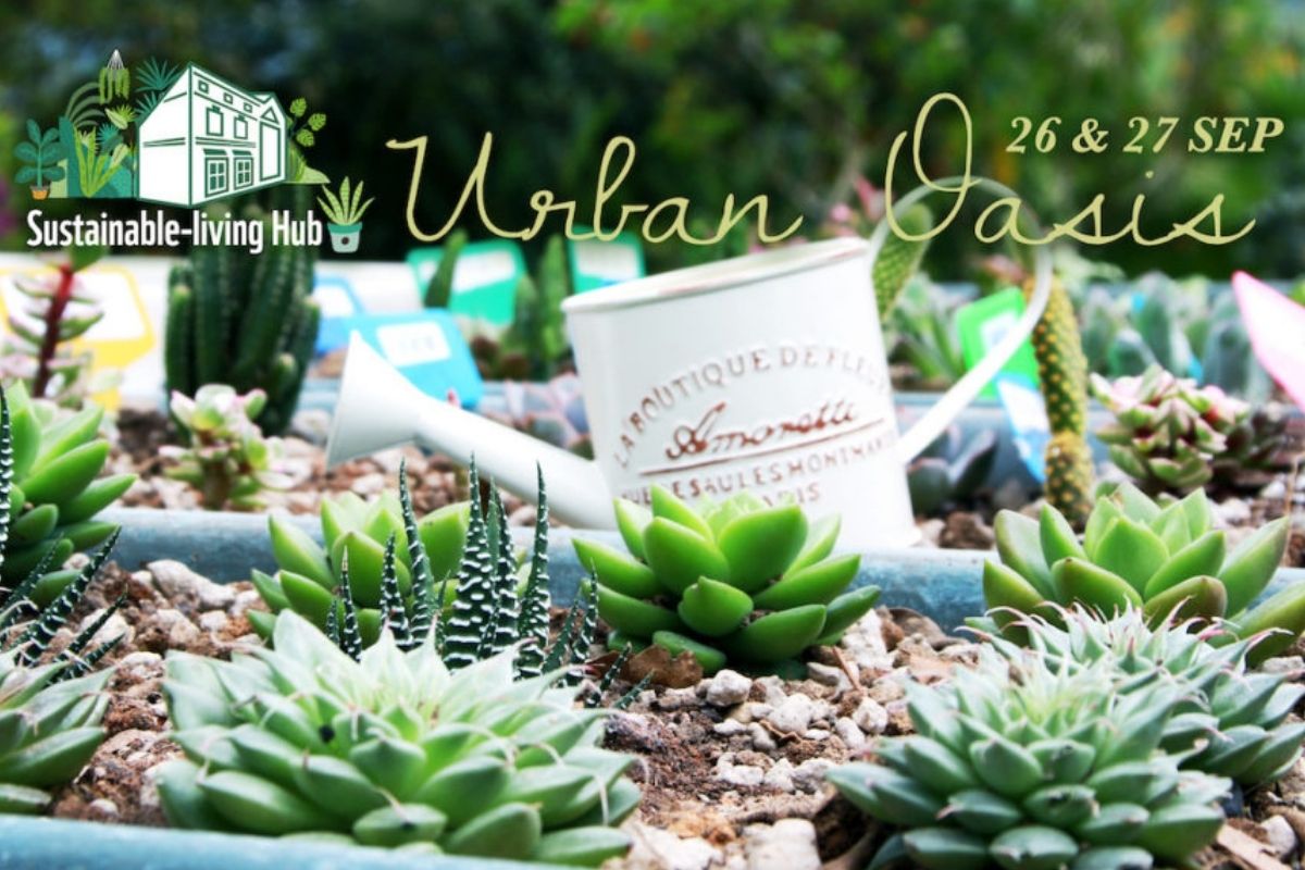 Build your own Mini Urban Oasis with WWF