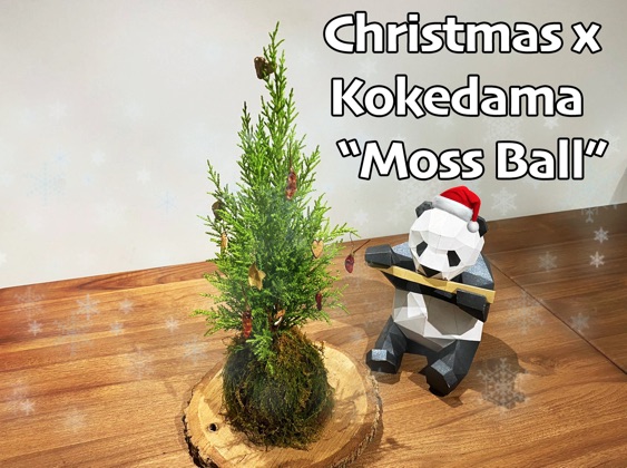 Christmas Mini Tree