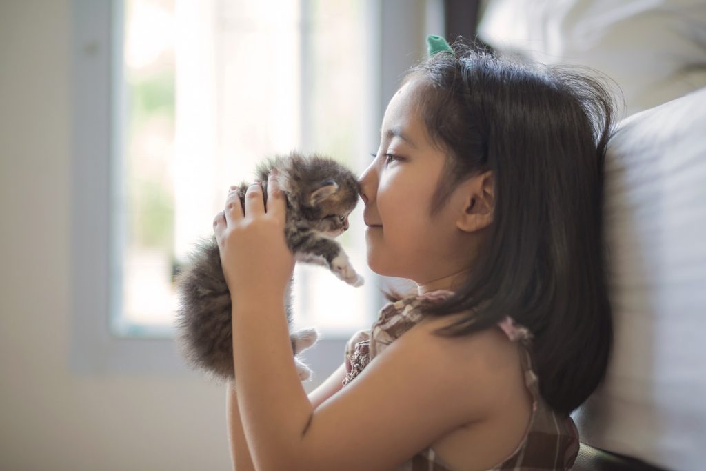 Little girl holding a kitten up to her face: benefits of owning a pet