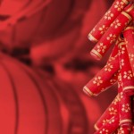 Red Firecrackers_Shutterstock