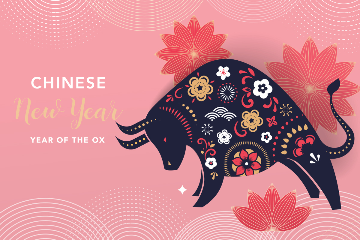 Why Do We Celebrate Chinese New Year? Playtimes