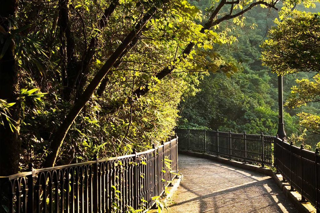 Green hidden path, Family Walks in Hong Kong