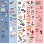 TCM-Food-Chart-Square-Image
