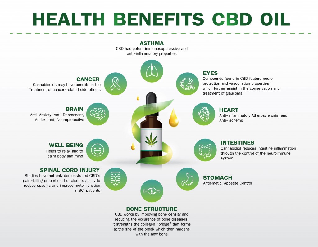 What is CBD oil - the benefits infographic 