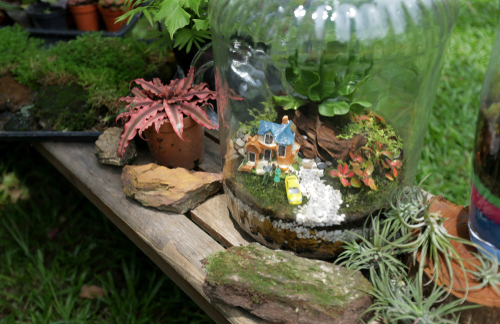 wwf hong kong urban oasis