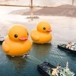 Double Ducks