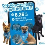 dog adoption event SPCA