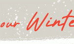 banner-4