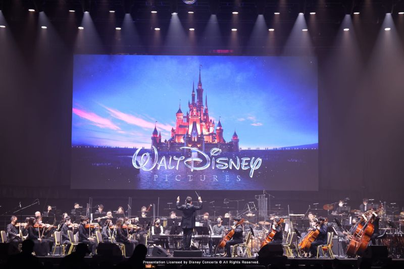 Once in a Lifetime Disney 