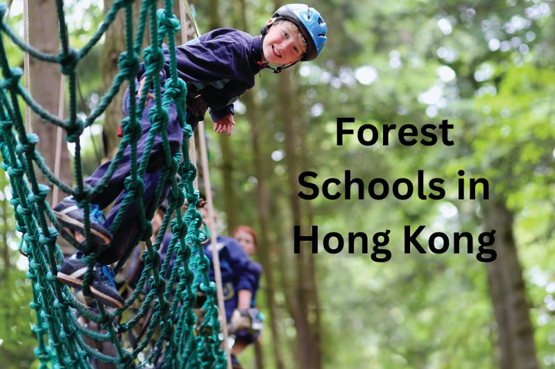 Forest Schools in Hong Kong